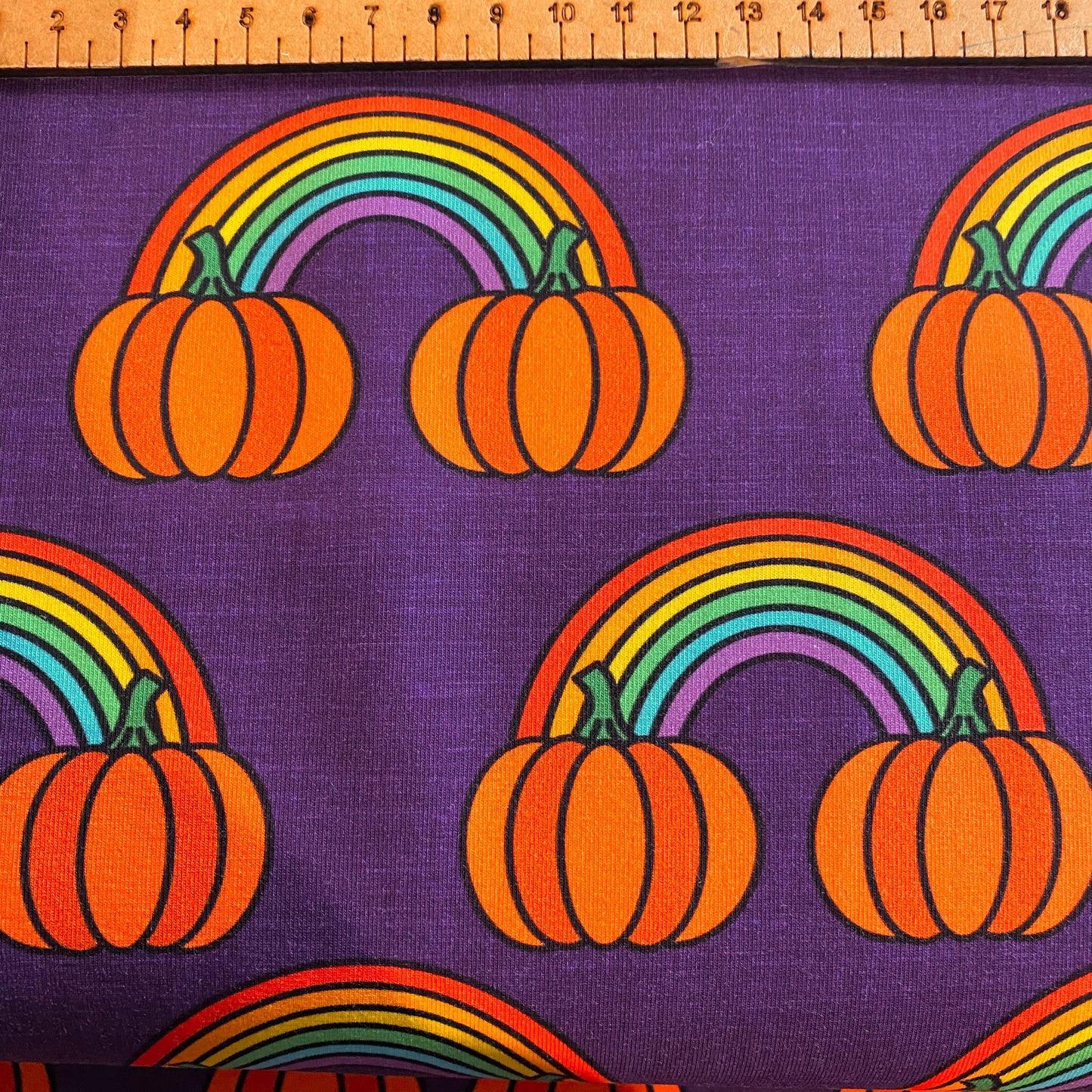 PREORDER Pumpkin patch - Brushed Back French Terry Fabric – Kids Stretch Fabric UK