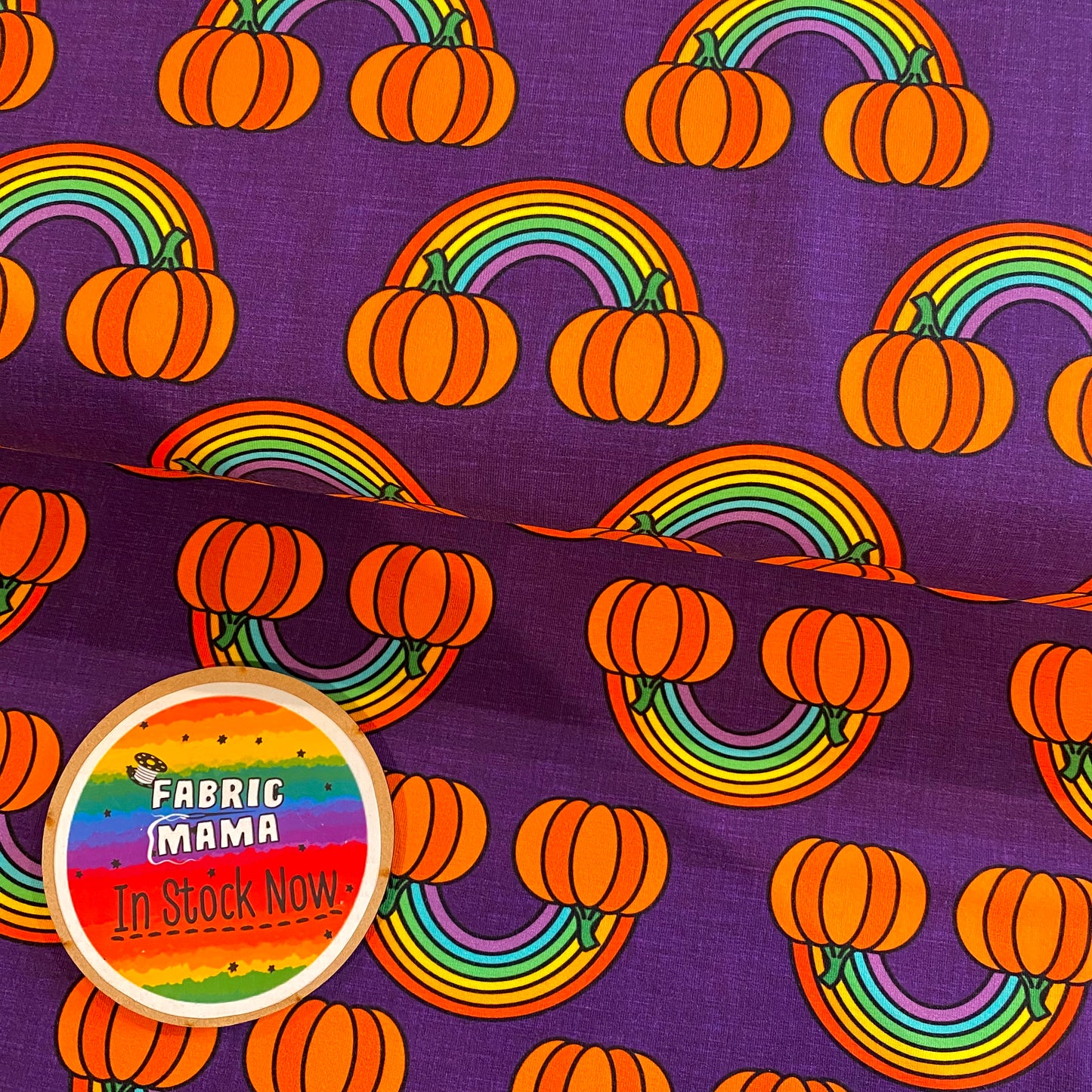 PREORDER  Pumpkin patch - Brushed Back French Terry Fabric – Kids Stretch Fabric UK