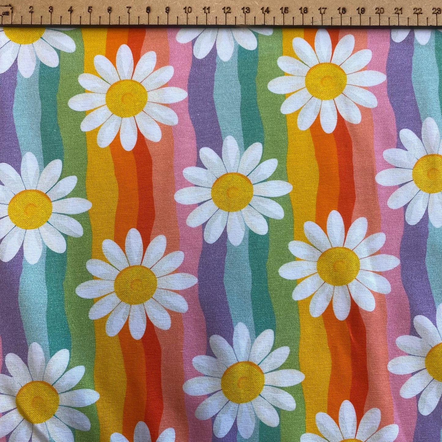 Daisy daisy - Premium cotton lycra jersey kids stretch fabric