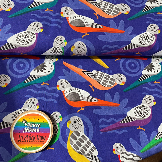 Brilliant budgies - Premium cotton lycra jersey kids stretch fabric