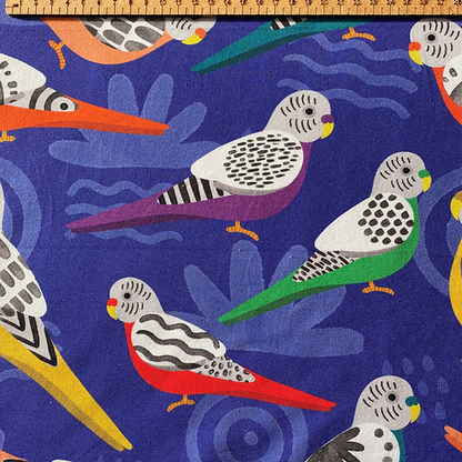 Brilliant budgies - Premium cotton lycra jersey kids stretch fabric